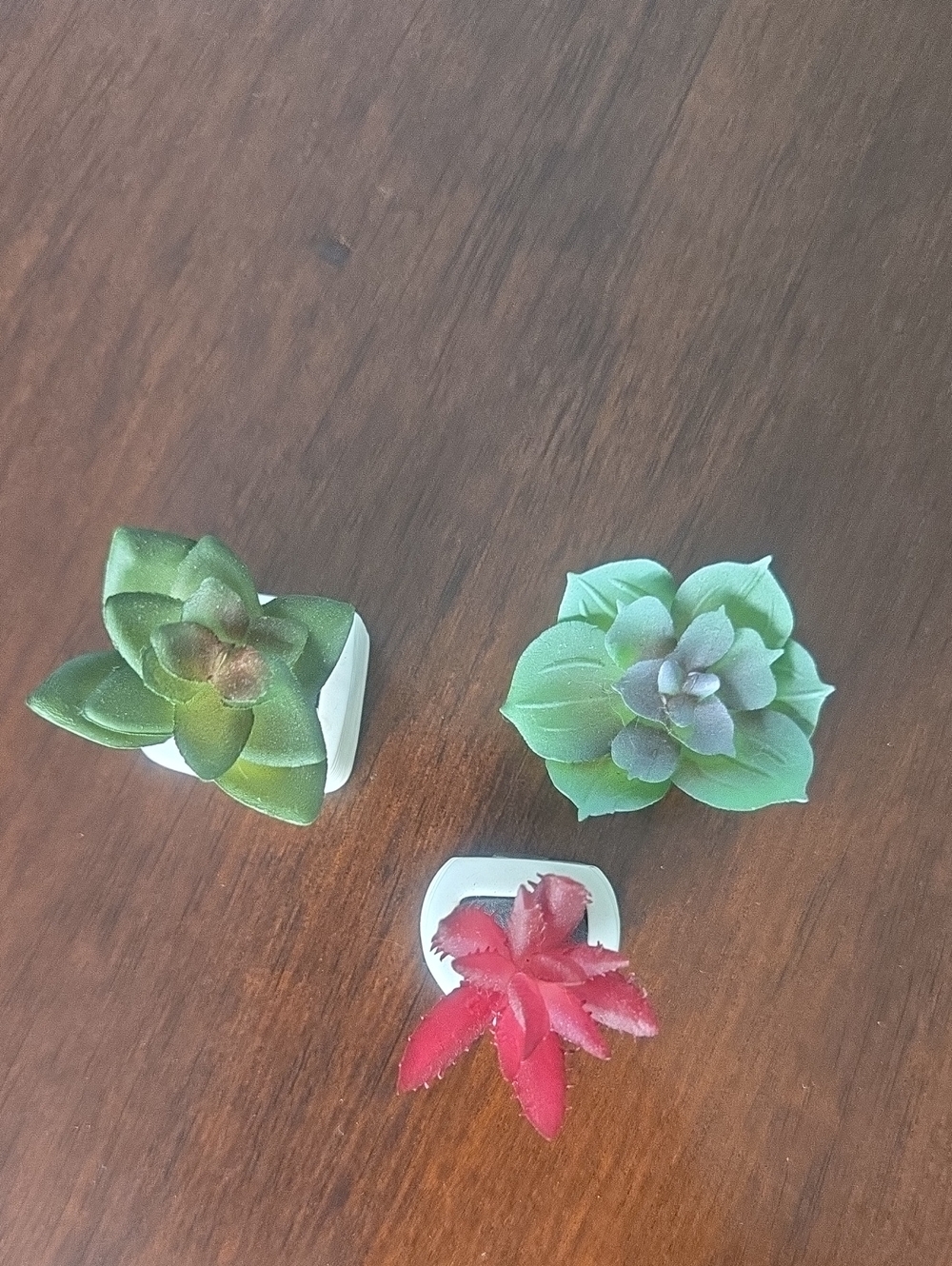 Set of 3 Mini Succulent Magnet Décor - Green & Pink Faux Plants - Picture 2 of 4